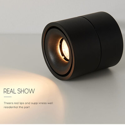 Pinton M076 12W 3000K Black